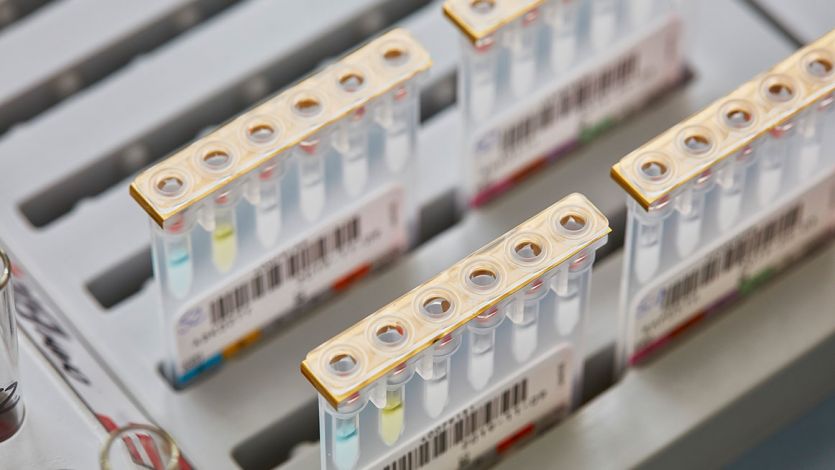 Labor Reagenzgläser